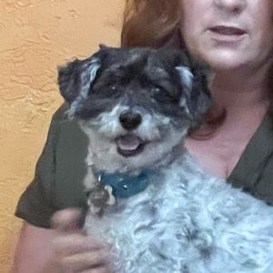 Meet your Posher, Grace